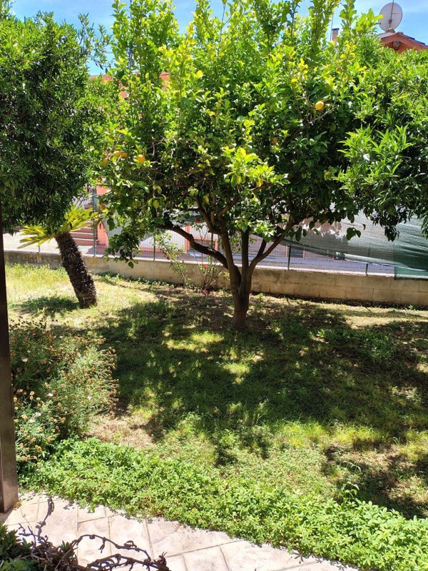 appartamento in affitto a Fiumicino