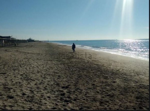 negozio in affitto a Fiumicino in zona Isola Sacra