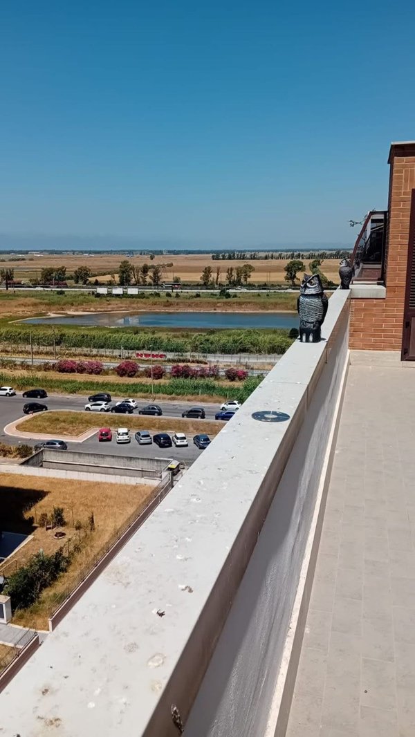 appartamento in affitto a Fiumicino