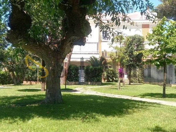 appartamento in affitto a Fiumicino in zona Fregene