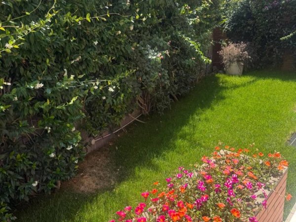 casa indipendente in affitto a Fiumicino in zona Fregene