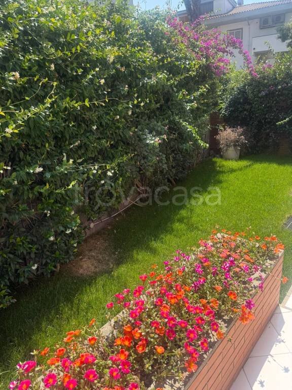 casa indipendente in affitto a Fiumicino in zona Fregene