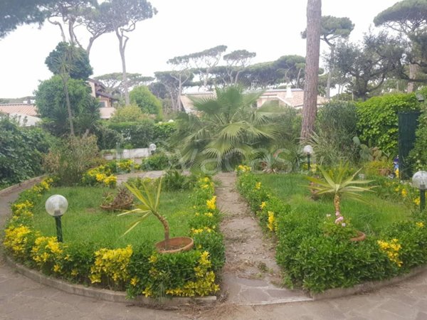 casa indipendente in affitto a Fiumicino in zona Fregene
