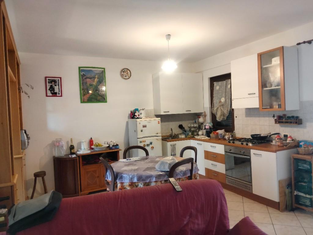 appartamento in affitto a Fiumicino in zona Isola Sacra