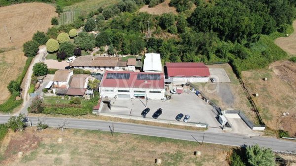 appartamento in affitto a Fiumicino in zona Testa di Lepre
