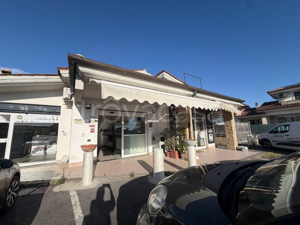 appartamento in affitto a Fiumicino in zona Aranova