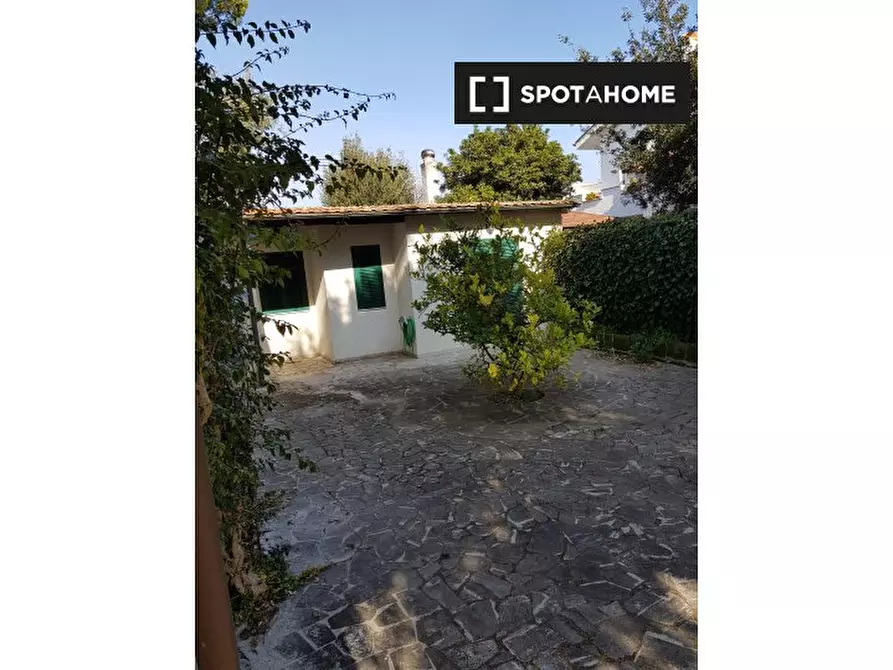 appartamento in affitto a Fiumicino in zona Fregene