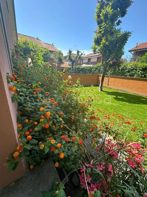 casa indipendente in affitto a Fiumicino in zona Fregene