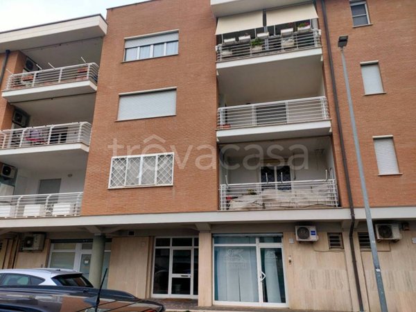 appartamento in affitto a Fiumicino