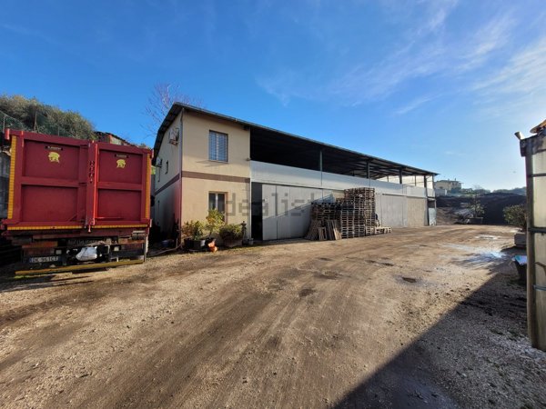 capannone in affitto a Fonte Nuova