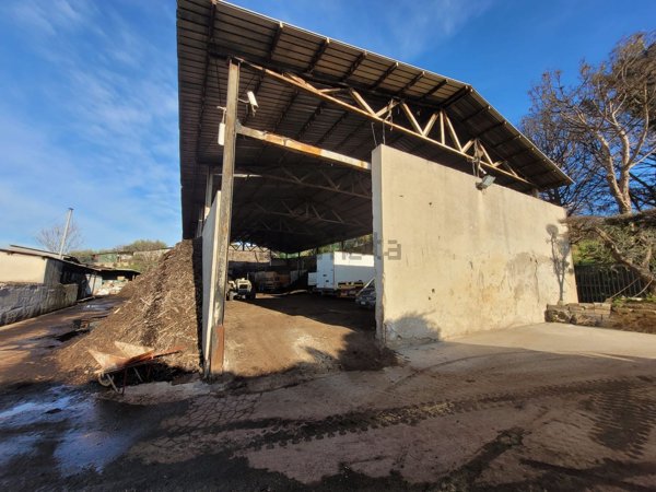 capannone in affitto a Fonte Nuova in zona Torre Lupara