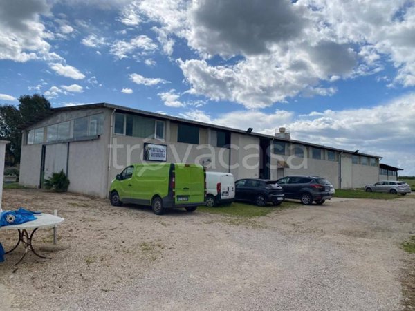 locale commerciale in affitto ad Aprilia in zona Casalazzara