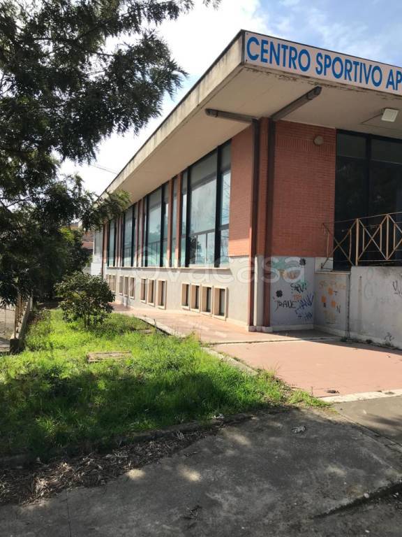 negozio in affitto ad Aprilia