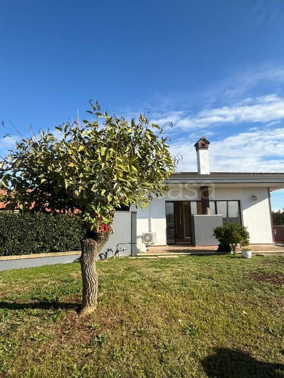 casa indipendente in affitto ad Aprilia