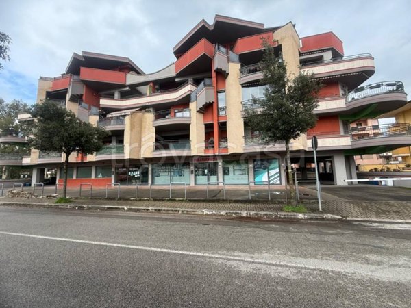 negozio in affitto ad Aprilia