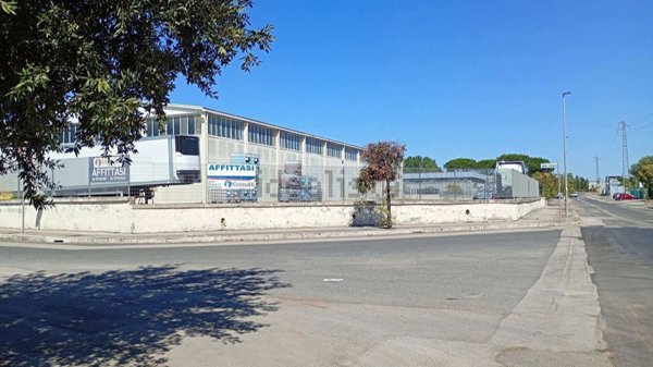 locale di sgombero in affitto ad Aprilia
