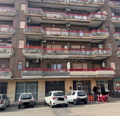 negozio in affitto a Cisterna di Latina