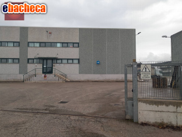 capannone in affitto a Cisterna di Latina
