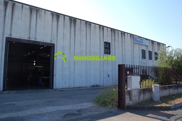 locale di sgombero in affitto a Cisterna di Latina