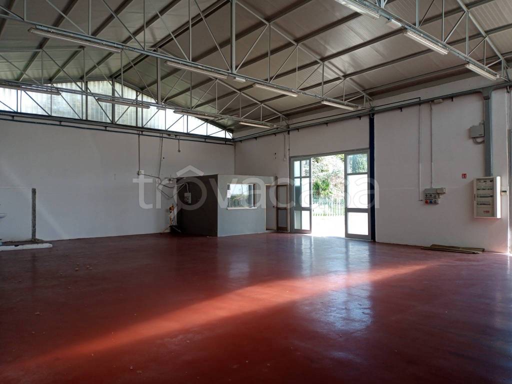 negozio in affitto a Cisterna di Latina