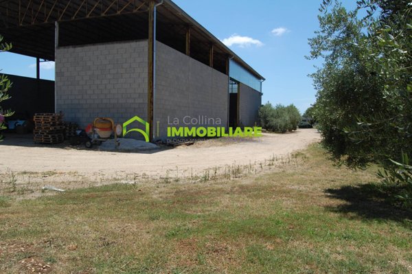 capannone in affitto a Cisterna di Latina