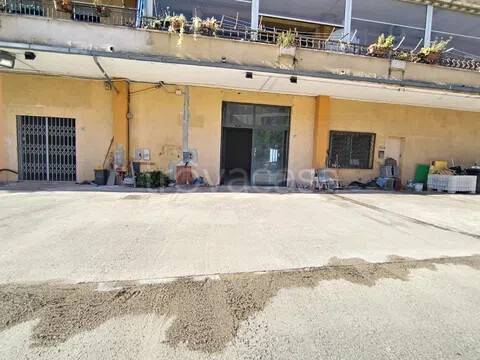 appartamento in affitto a Cori