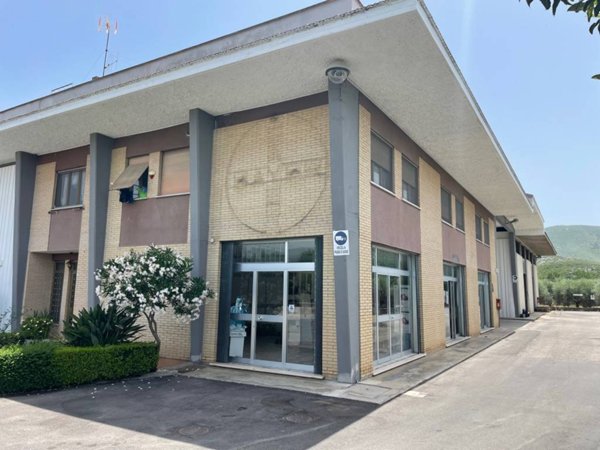 negozio in affitto a Fondi