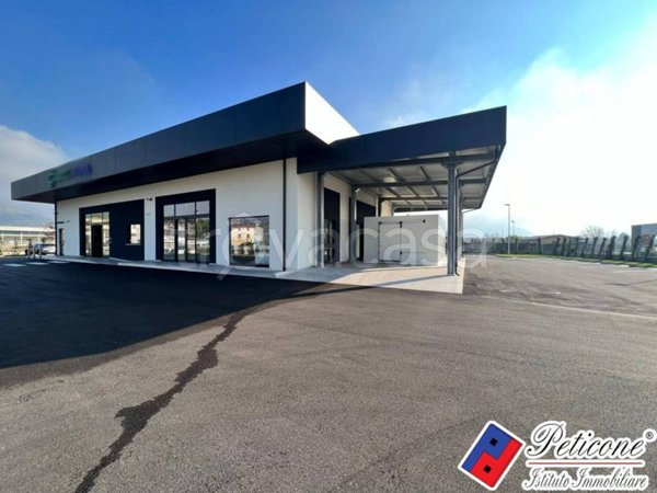 negozio in affitto a Fondi