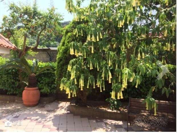 appartamento in affitto a Formia