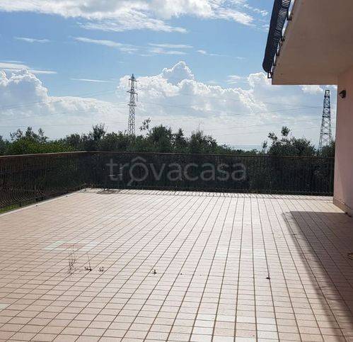 immagine annuncio 0 di 15