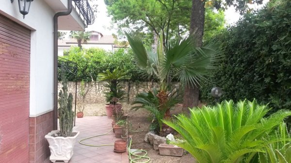 casa indipendente in affitto a Formia