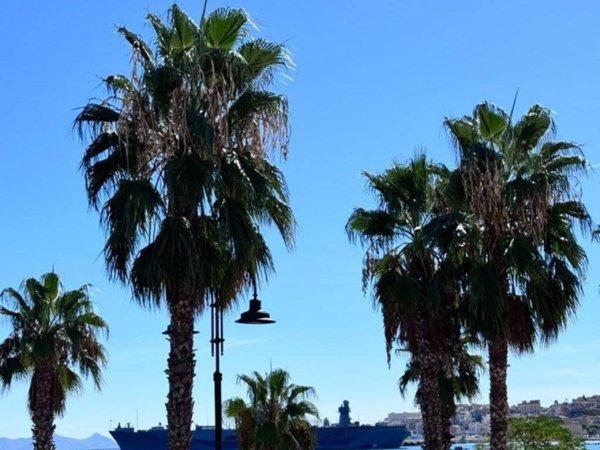 appartamento in affitto a Gaeta
