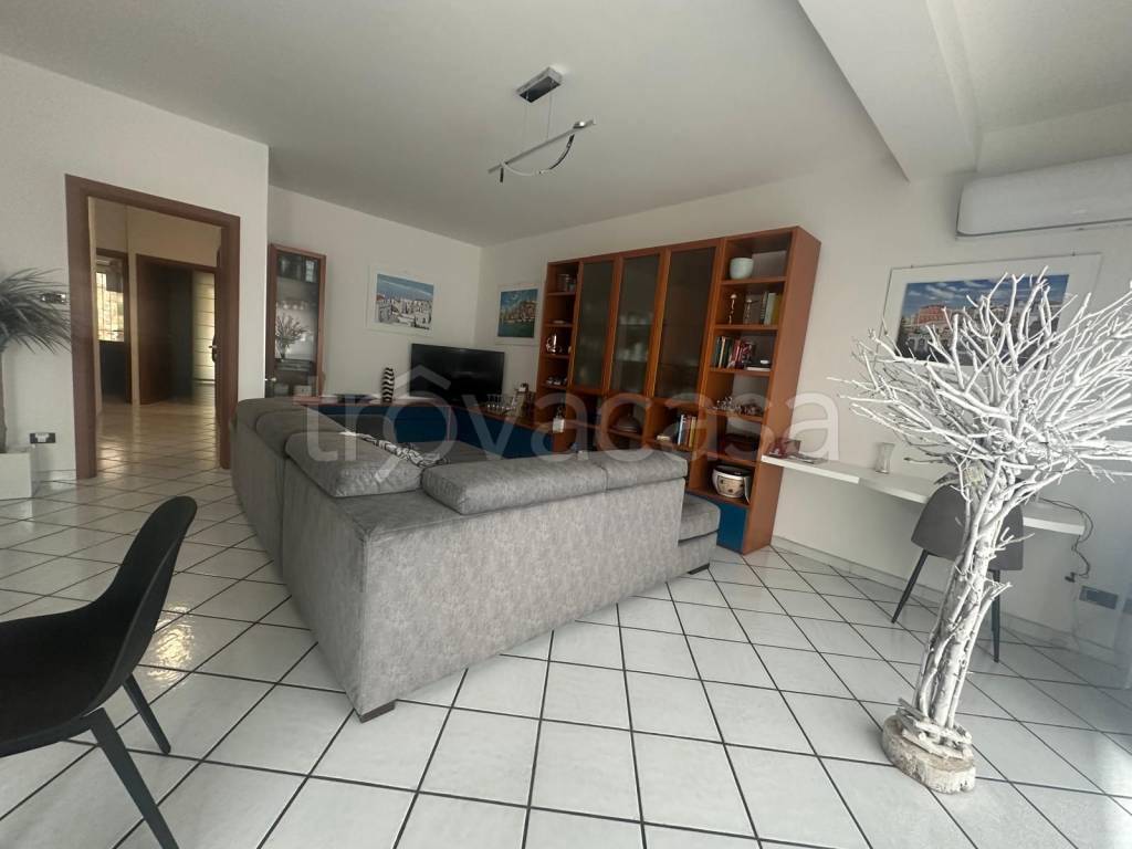 immagine annuncio 0 di 15