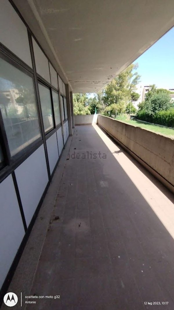 ufficio in affitto a Latina