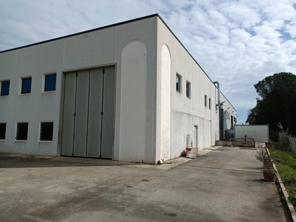 locale commerciale in affitto a Latina in zona Latina Scalo
