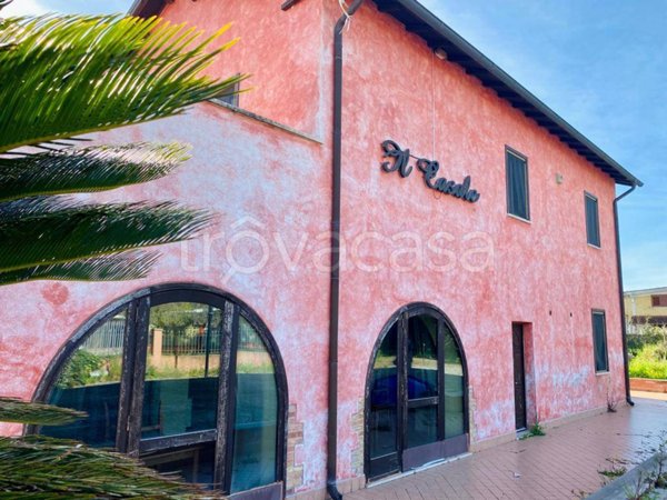 quadrivano in affitto a Latina in zona Borgo San Michele
