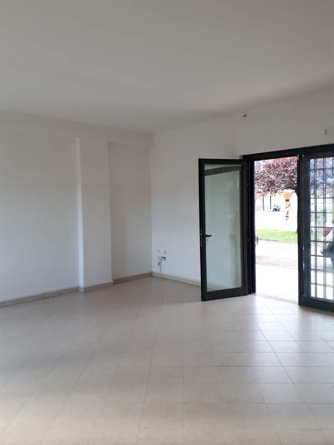 negozio in affitto a Latina