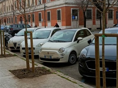 negozio in affitto a Latina