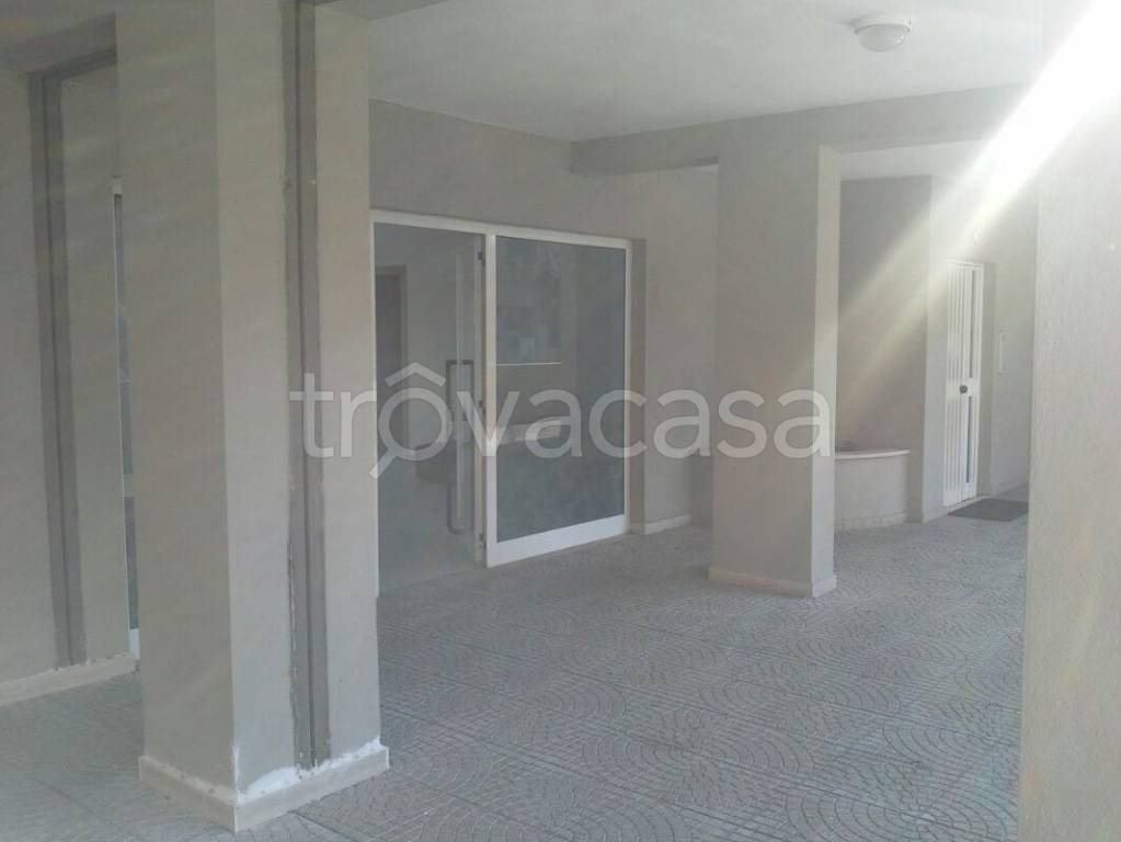 trivano in affitto a Latina