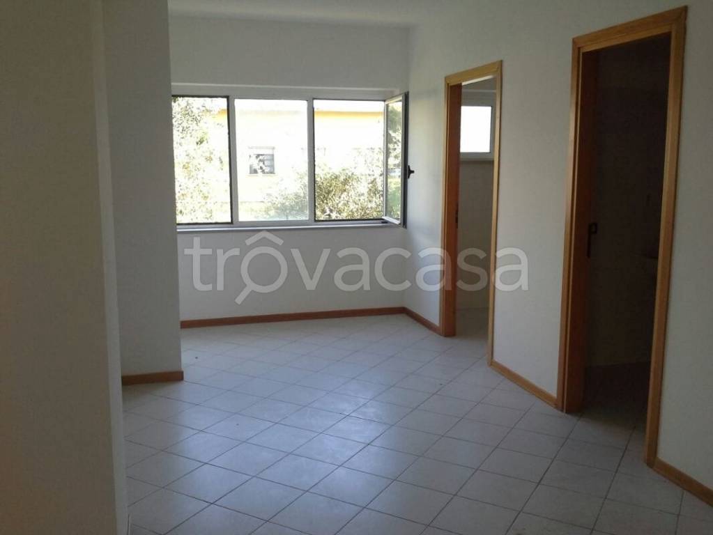 trivano in affitto a Latina