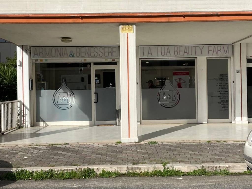 negozio in affitto a Latina