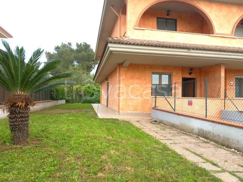 appartamento in affitto a Latina in zona Borgo Montello