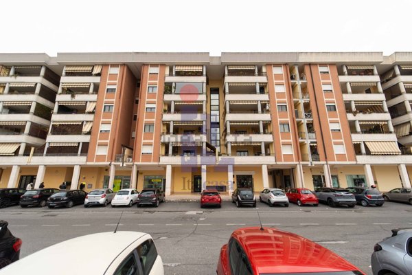 appartamento in affitto a Latina