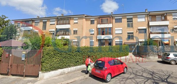 appartamento in affitto a Latina