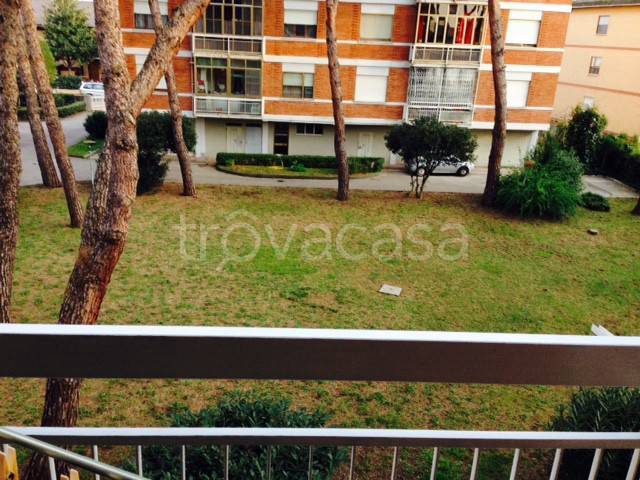 appartamento in affitto a Latina