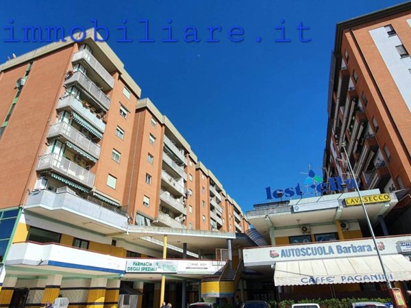 appartamento in affitto a Latina