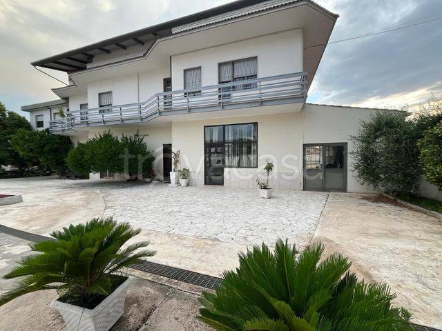 negozio in affitto a Latina in zona Borgo Podgora