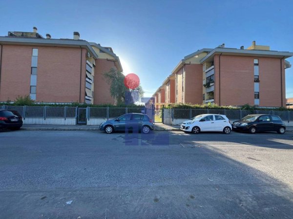 appartamento in affitto a Latina