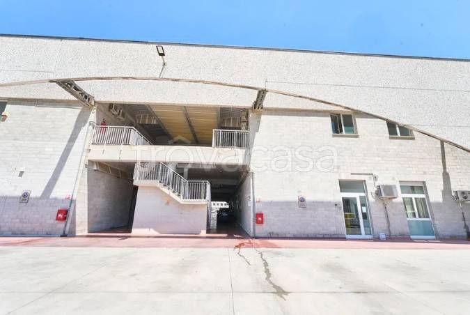 locale commerciale in affitto a Latina in zona Centro Città