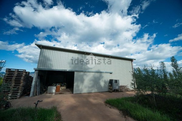 capannone in affitto a Latina in zona Torre Tre Ponti